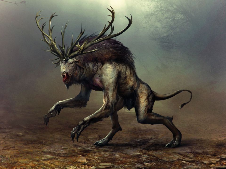 The-Witcher-3-Wild-Hunt-13