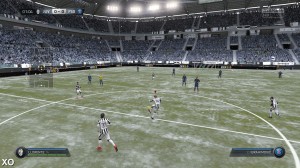 jpg (10)